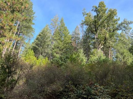 Tin Ranch Road, Georgetown, CA 95634 Photo