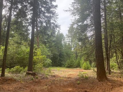 8180 Wild Horse Trl, Georgetown, CA 95634 Photo