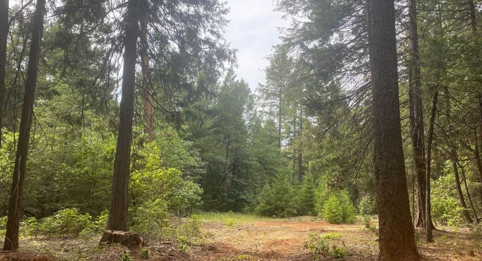 8180 Wild Horse Trl, Georgetown, CA 95634 Photo