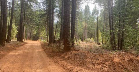 8180 Wild Horse Trl, Georgetown, CA 95634 Photo