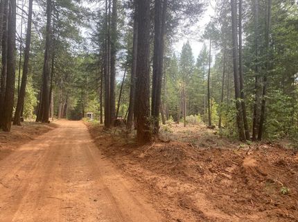 8180 Wild Horse Trl, Georgetown, CA 95634 Photo