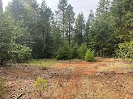 8180 Wild Horse Trl, Georgetown, CA 95634 Photo