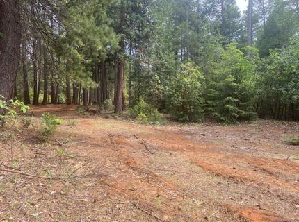 8180 Wild Horse Trl, Georgetown, CA 95634 Photo