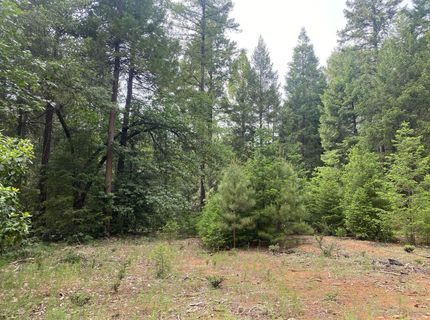 8180 Wild Horse Trl, Georgetown, CA 95634 Photo