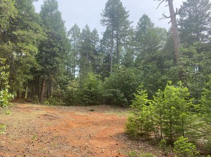 8180 Wild Horse Trl, Georgetown, CA 95634 Photo