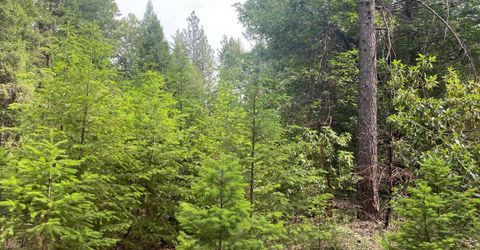 8180 Wild Horse Trl, Georgetown, CA 95634 Photo