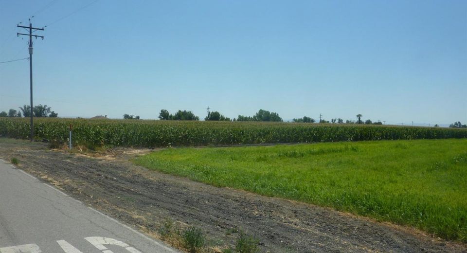 8628 Eucalyptus Rd, Dos Palos, CA 93620 Photo