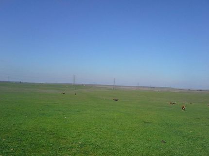 29939 E Highway 4, Farmington, CA 95230 Photo