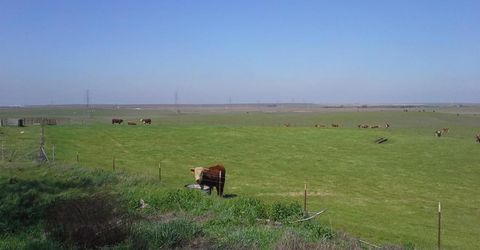 29939 E Highway 4, Farmington, CA 95230 Photo