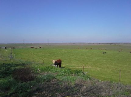 29939 E Highway 4, Farmington, CA 95230 Photo