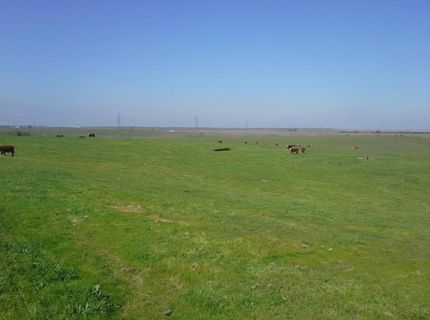 29939 E Highway 4, Farmington, CA 95230 Photo