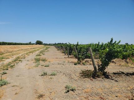 10698 W Barber Rd, Thornton, CA 95686 Photo