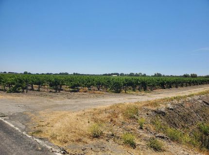 10698 W Barber Rd, Thornton, CA 95686 Photo