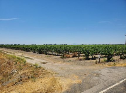 10698 W Barber Rd, Thornton, CA 95686 Photo