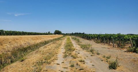 10698 W Barber Rd, Thornton, CA 95686 Photo