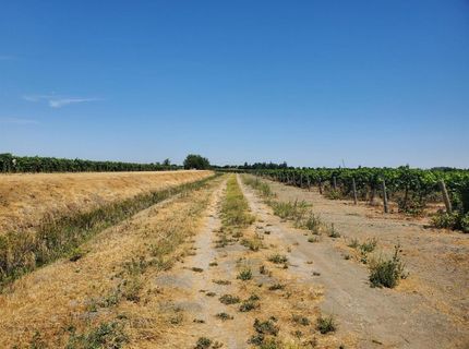 10698 W Barber Rd, Thornton, CA 95686 Photo