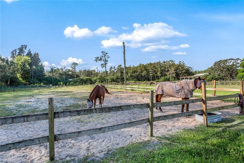 7200 Carousel Ln, Fort Myers, FL 33966 Photo