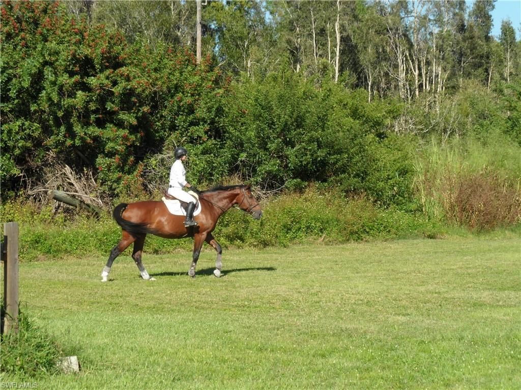 7200 Carousel Ln, Fort Myers, FL 33966 Photo