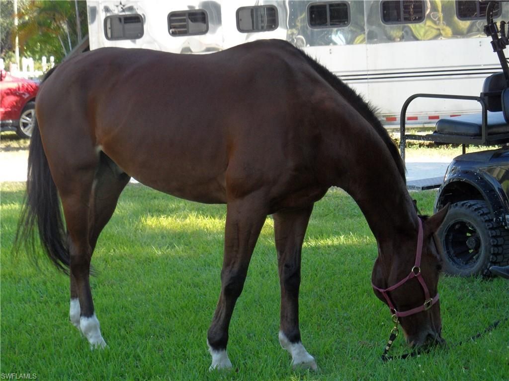 7200 Carousel Ln, Fort Myers, FL 33966 Photo