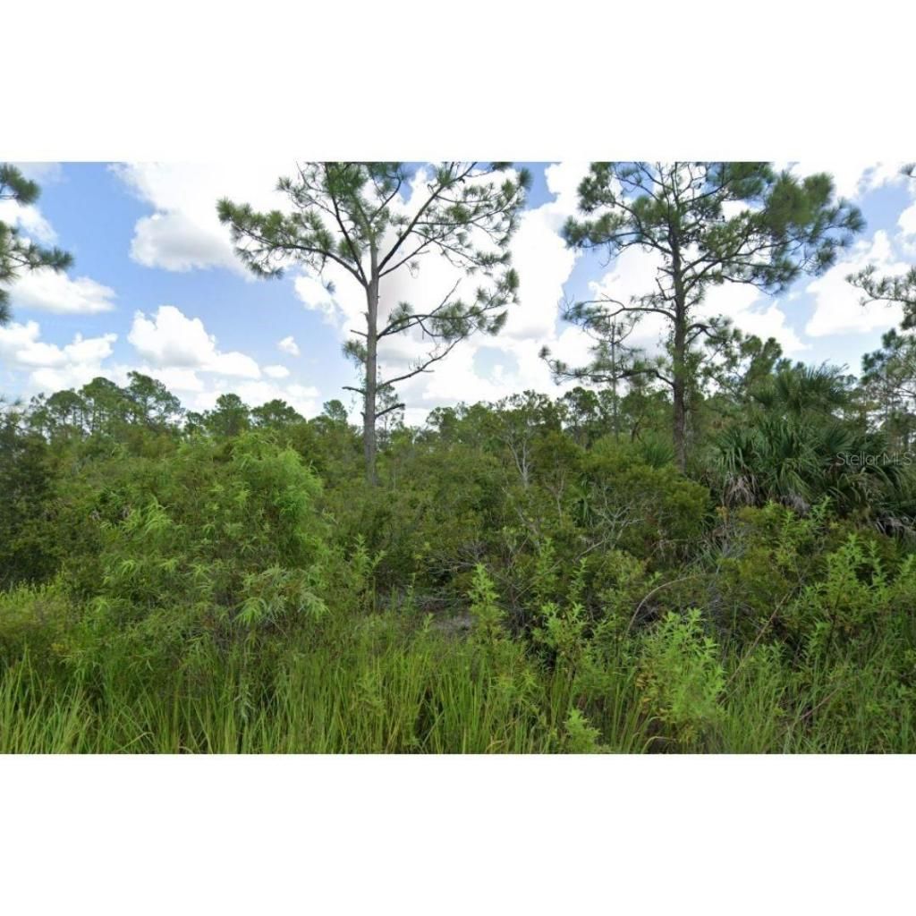 8120 Sweden Boulevard, Punta Gorda, FL 33982 Photo