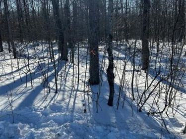 00 Mt Tom Road, Springfield Center, NY 13468