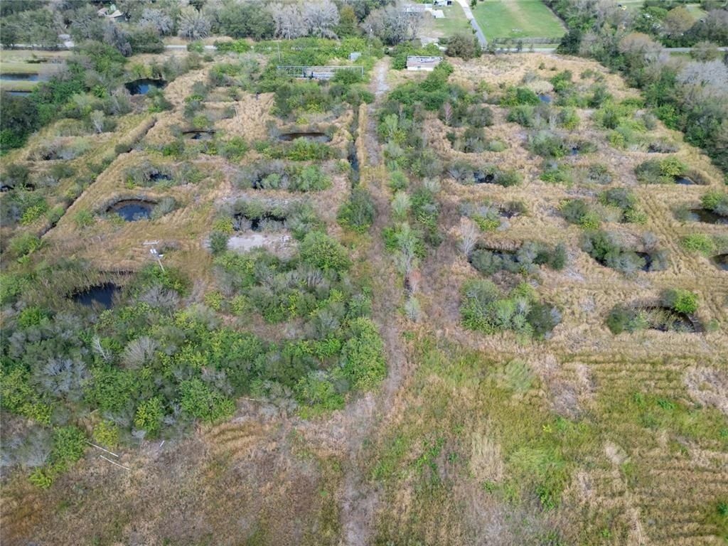 5441 Janes Drive, Wimauma, FL 33598 Photo