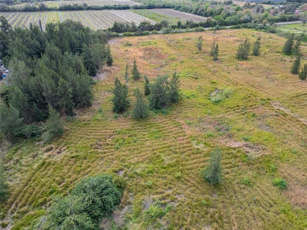 5441 Janes Drive, Wimauma, FL 33598 Photo