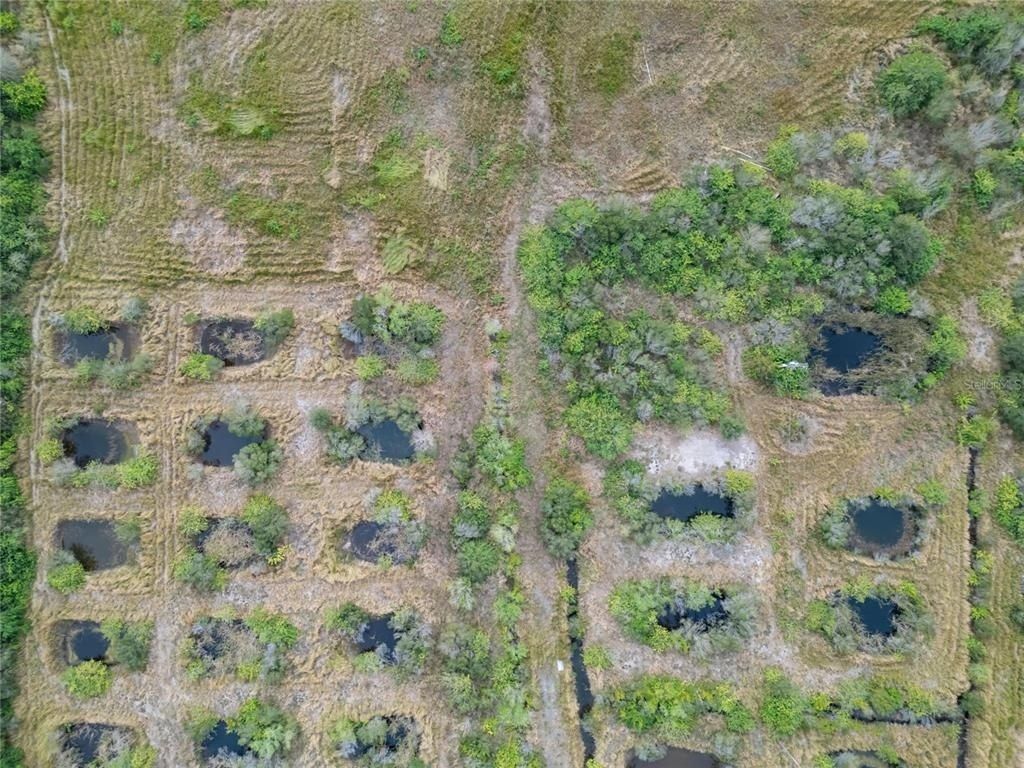 5441 Janes Drive, Wimauma, FL 33598 Photo