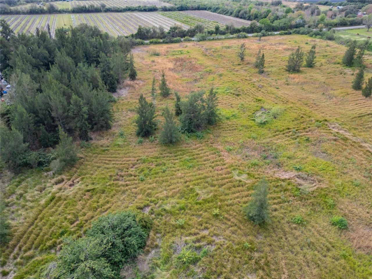 5441 Janes Drive, Wimauma, FL 33598 Photo