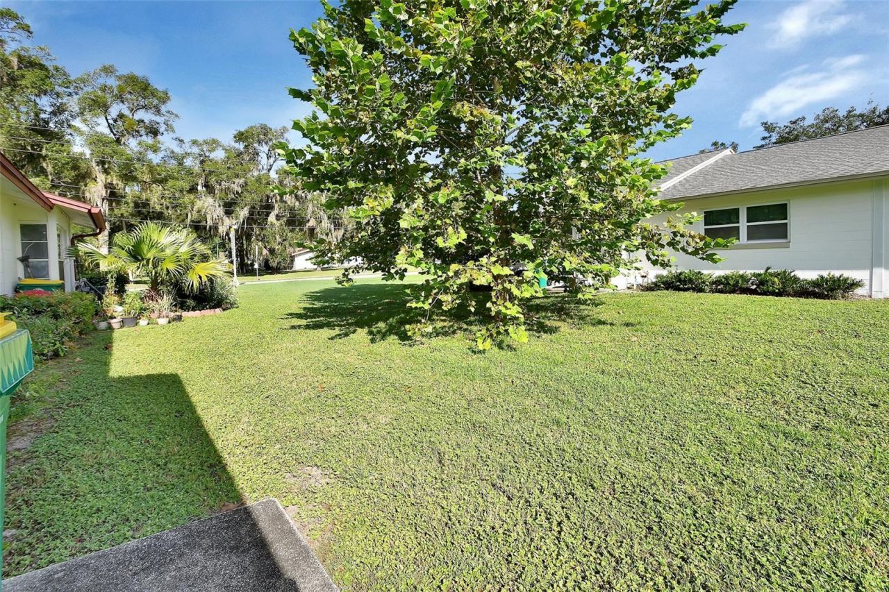 217 N Hill Avenue, Unit 20, Deland, FL 32724 Photo