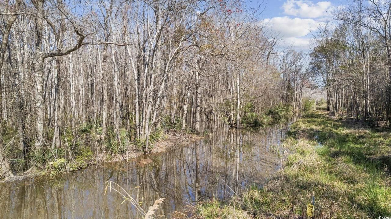 10141 Mcdowell Short Cut Rd. Photo 18