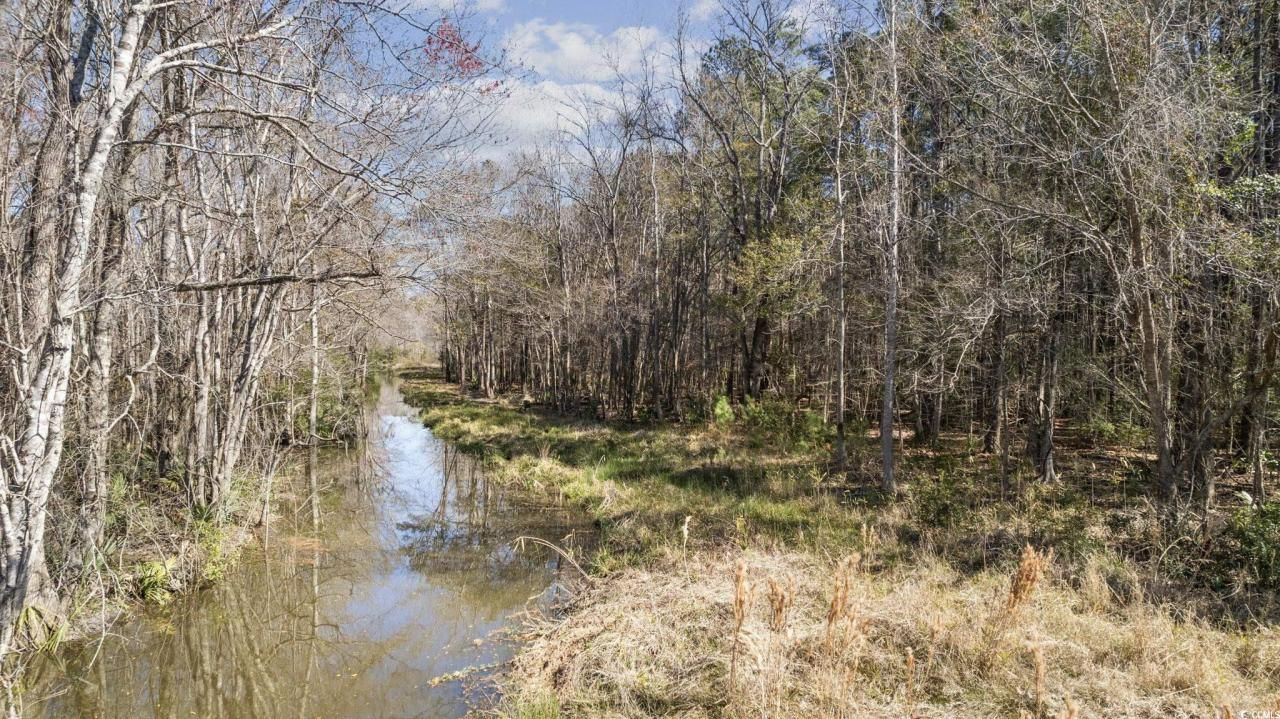 10141 Mcdowell Short Cut Rd. Photo 19