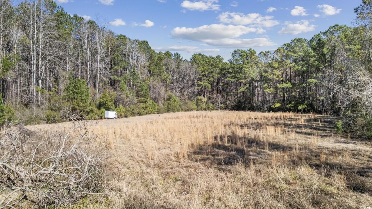 10141 Mcdowell Short Cut Rd. Photo 25