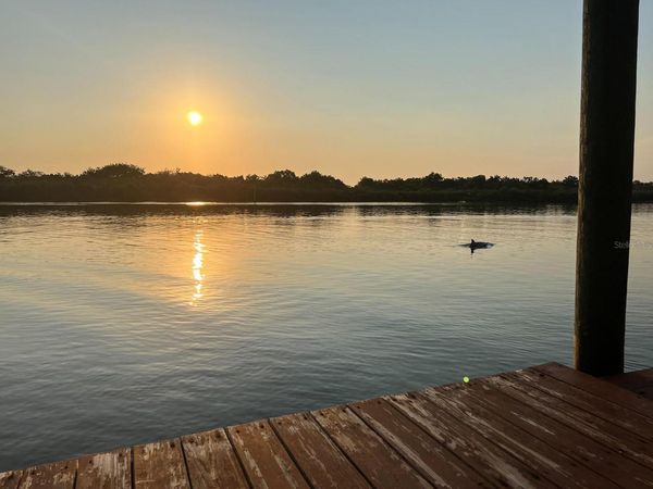 2437 SWORDFISH LANE, EDGEWATER, FL 32141