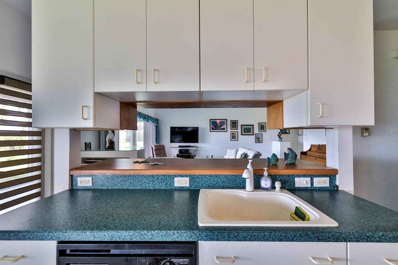 2437 Swordfish Lane, Edgewater, FL 32141 Photo