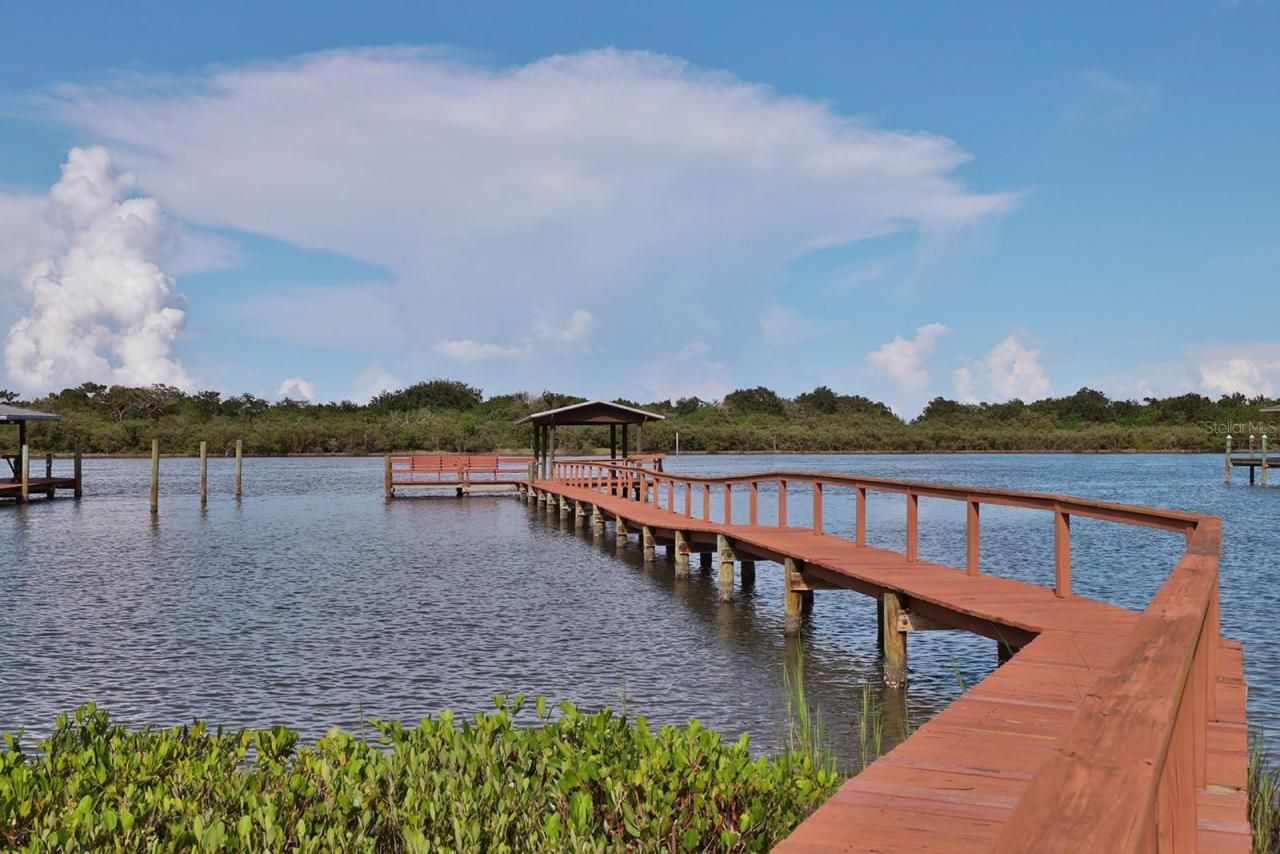 2437 Swordfish Lane, Edgewater, FL 32141 Photo