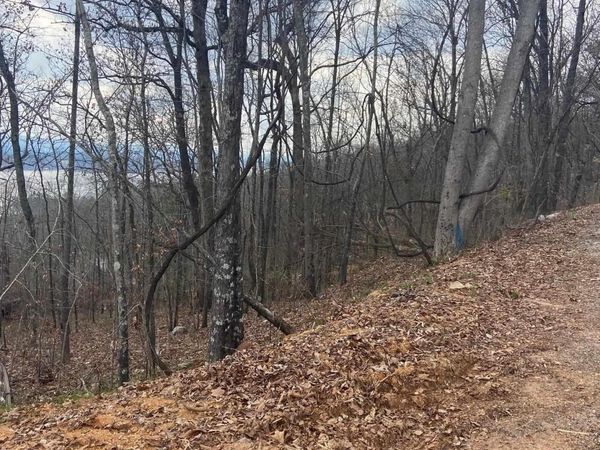 Lot Hummingbird Way, Rainbow City, AL 35906