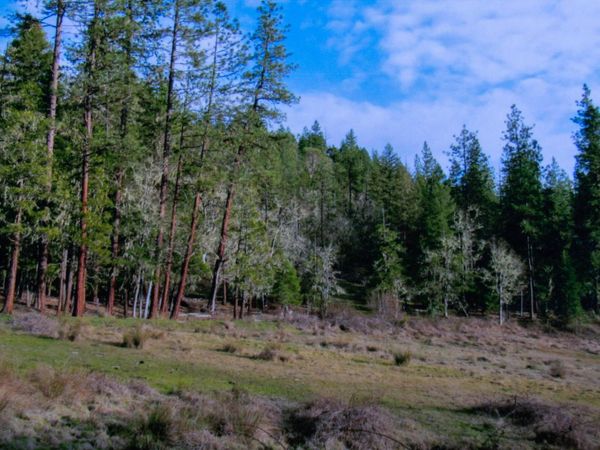 0 Cobleigh Road, Butte Falls, OR 97522