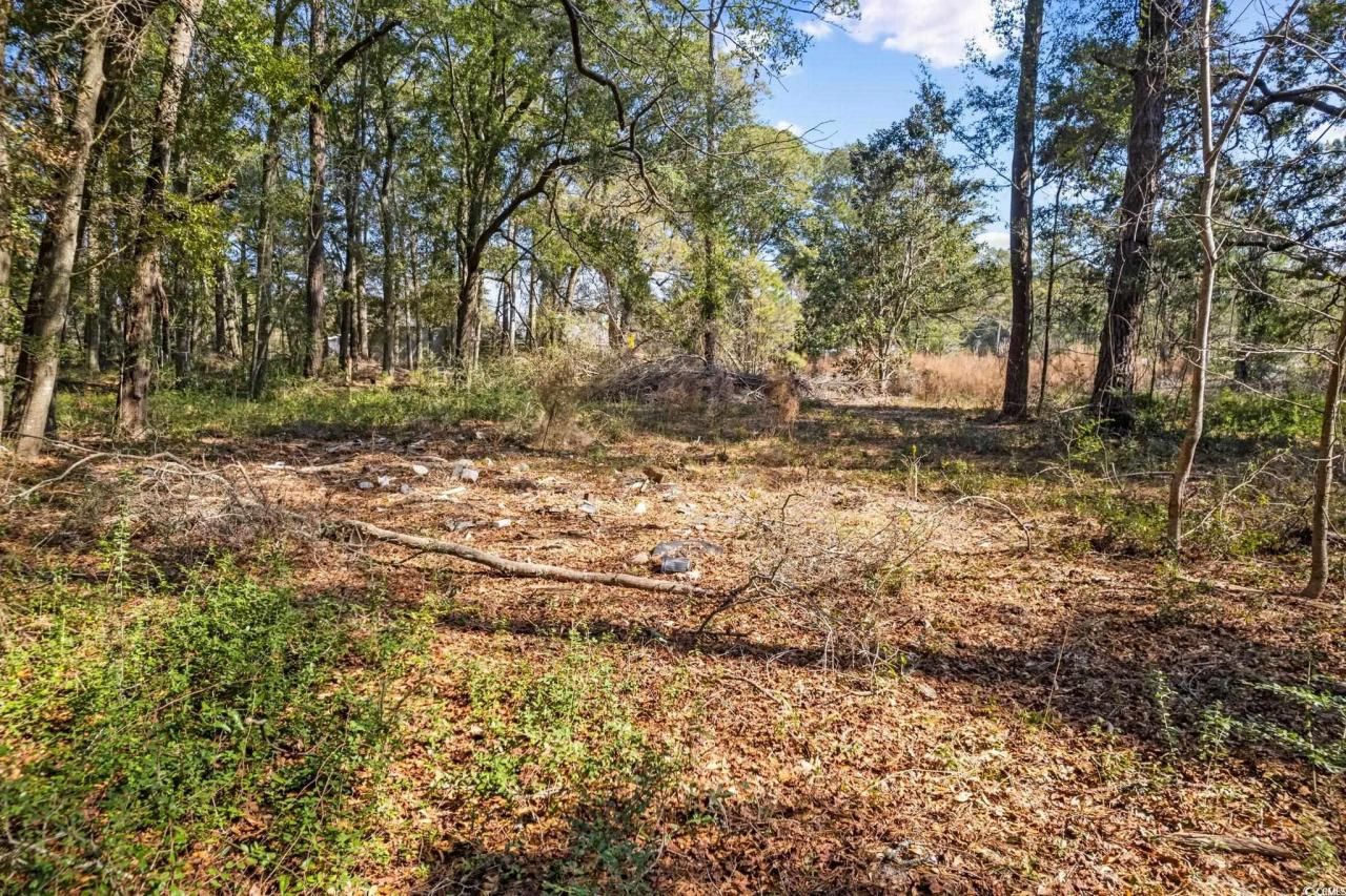 2221 Hwy 17 S Photo 15