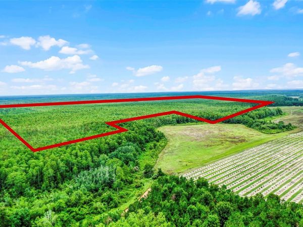 S BOGGY MARSH ROAD, CLERMONT, FL 34711
