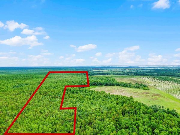 S BOGGY MARSH ROAD, CLERMONT, FL 34711