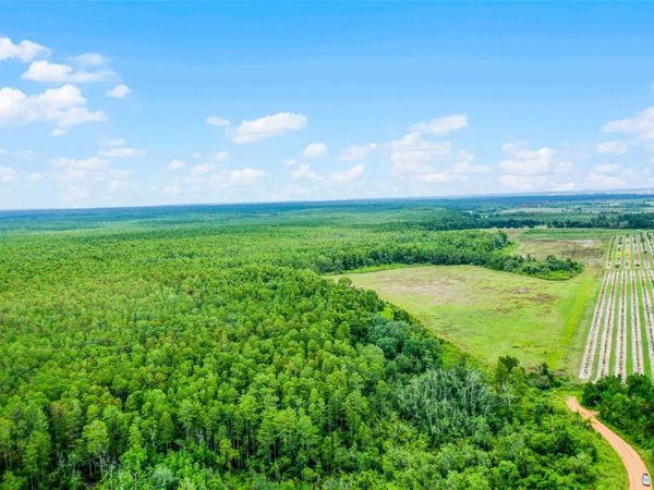 S BOGGY MARSH ROAD, CLERMONT, FL 34711