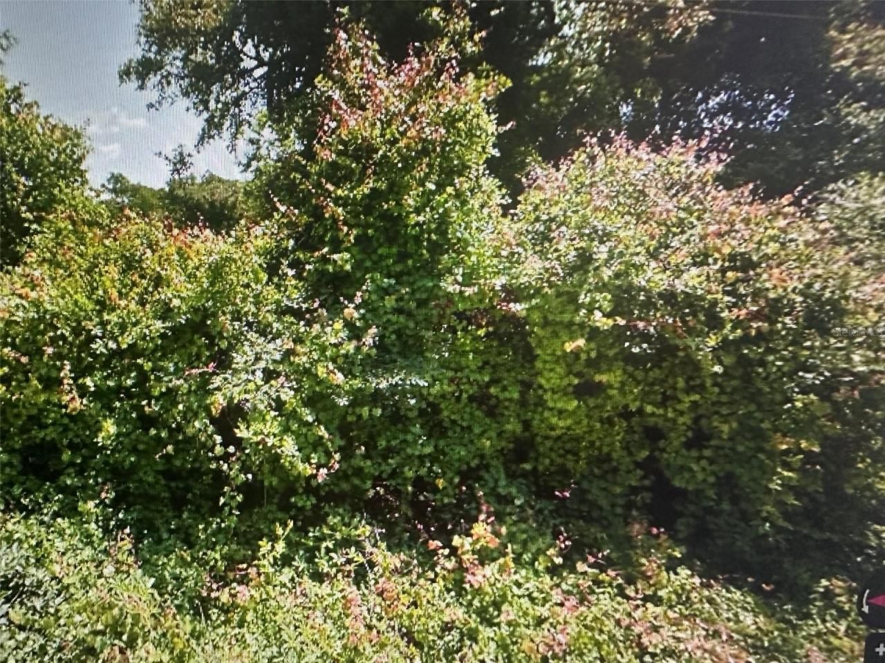 Malati Street, New Port Richey, FL 34654 Main Photo