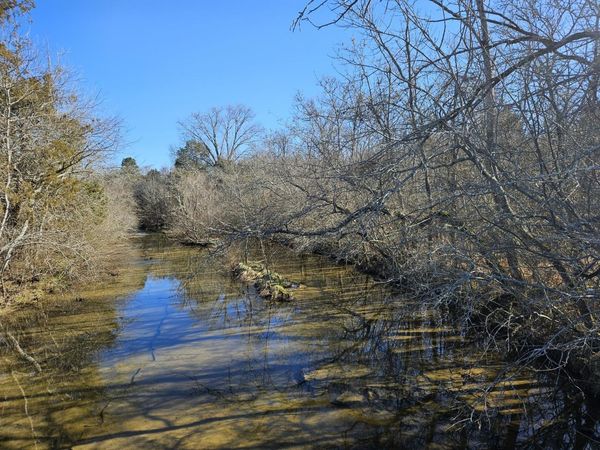 9651 Halls Hill Pike, Milton, TN 37118