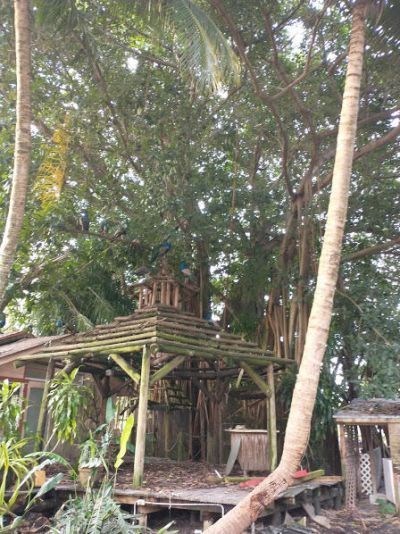 1100 D Road, Lot #(5 Acres), Loxahatchee Groves, FL 33470 Photo