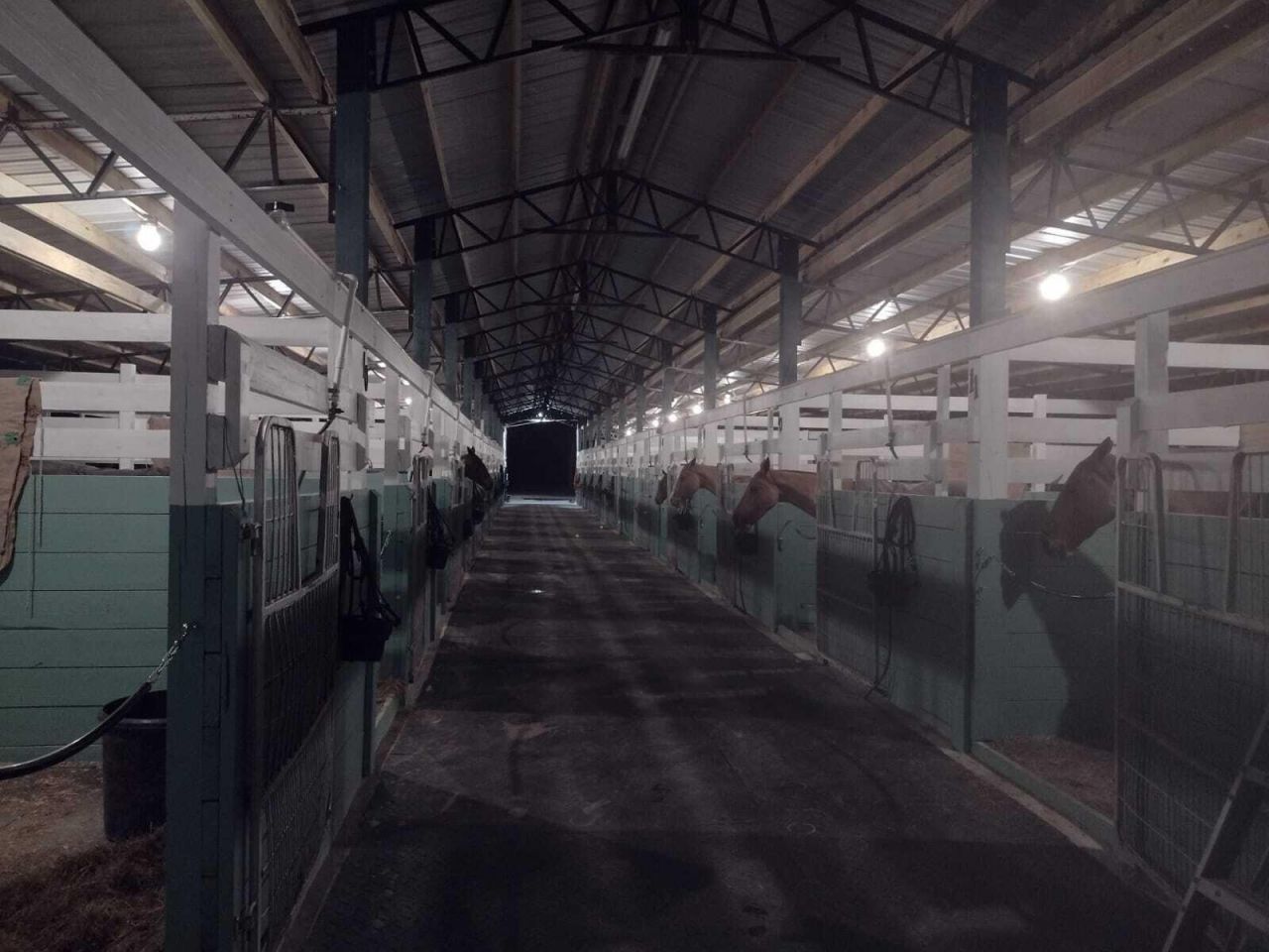 1100 D Road, Loxahatchee Groves, FL 33470 Photo