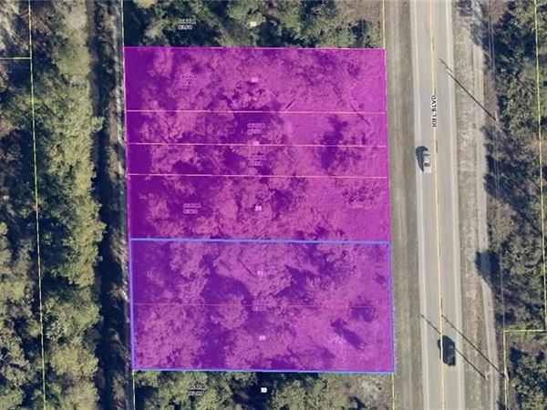 2325,2333,2337,2339,2341 Joel BLVD, ALVA, FL 33920