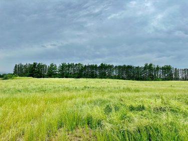 2535 Pioneer Trail, Medina, MN 55340