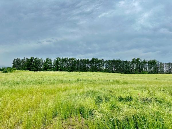 2535 Pioneer Trail, Medina, MN 55340