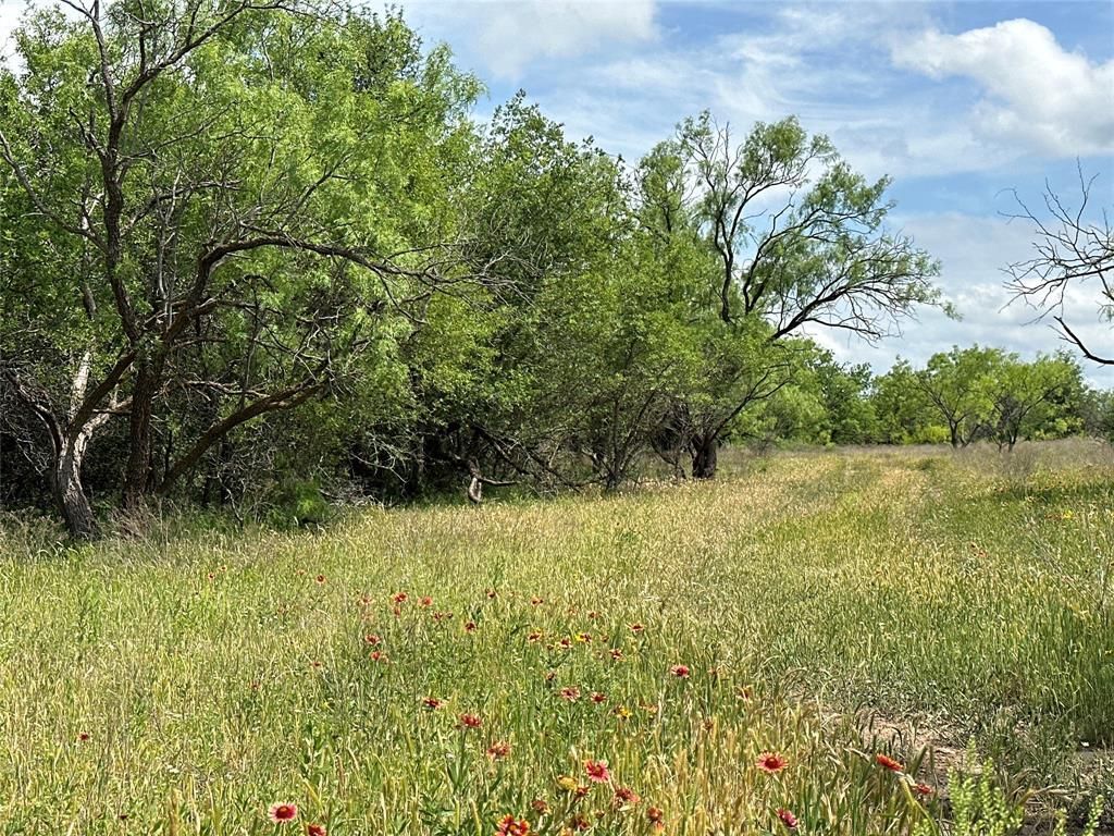 Tract 17 Cr 150, Abilene, TX 79601 Main Photo